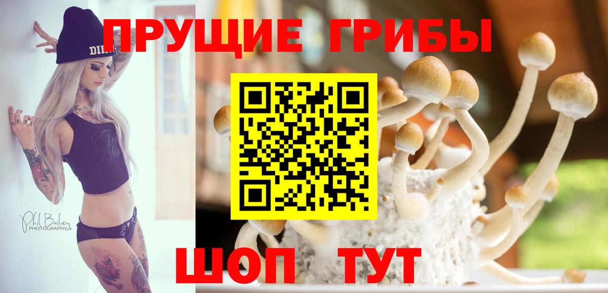 сколько стоит  Галлюциногенные грибы MAGIC MUSHROOMS  Вход с VPN  Пенза 